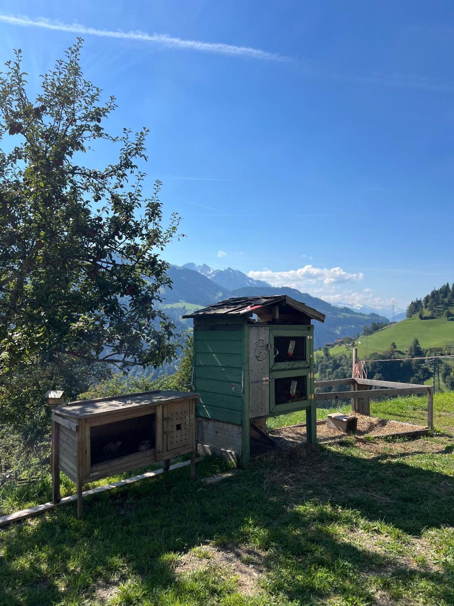 Bio Bauernhof Oberbenk Appartement Wagrain Buitenkant foto