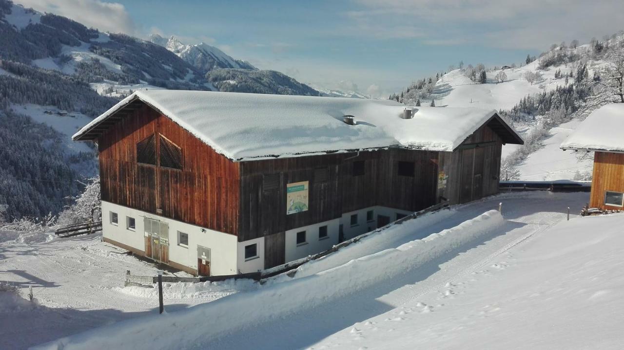 Bio Bauernhof Oberbenk Appartement Wagrain Buitenkant foto