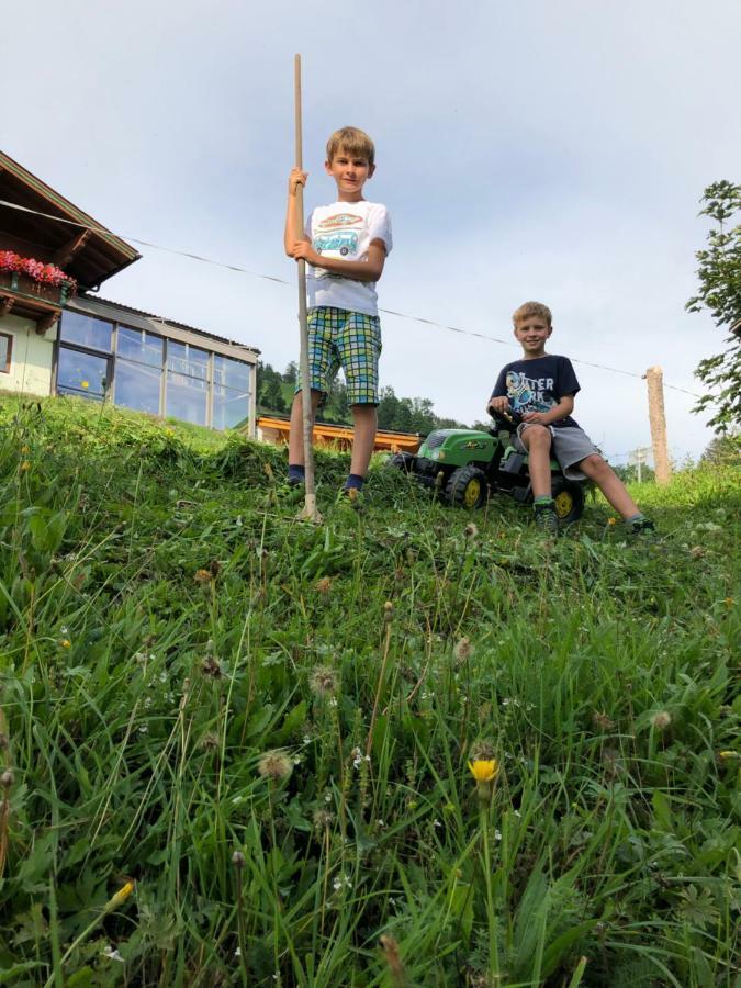 Bio Bauernhof Oberbenk Appartement Wagrain Buitenkant foto