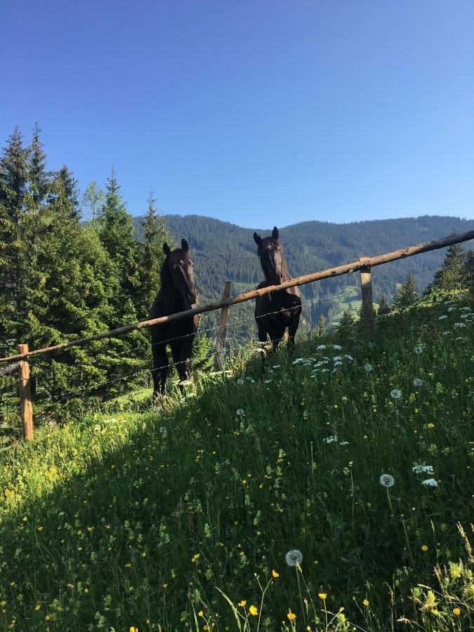 Bio Bauernhof Oberbenk Appartement Wagrain Buitenkant foto